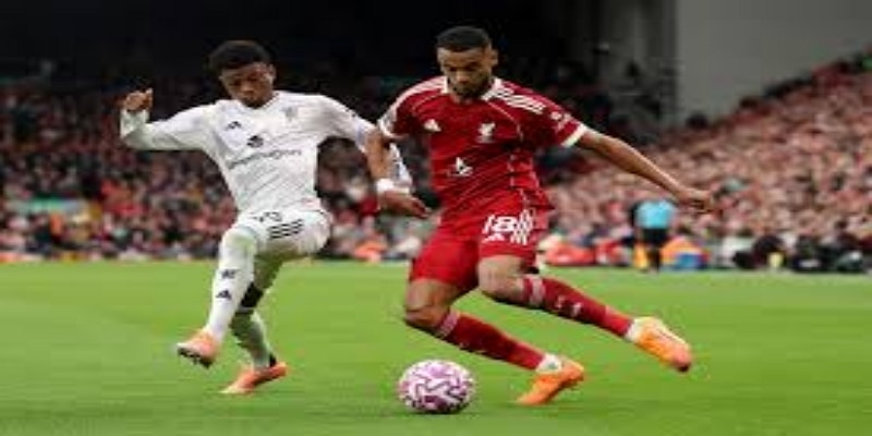 利物浦官方回应与警方行动：尊龙娱乐追踪责任界定进展-尊龙娱乐