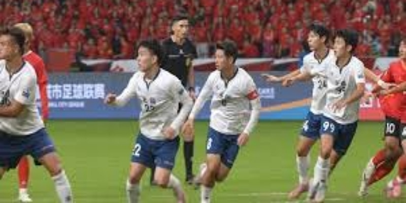 深度追踪：邓迪FC球场问题引发联赛连锁反应- 尊龙娱乐