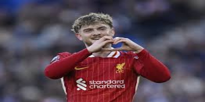 战术震荡效应：利物浦中场结构被迫重组-尊龙娱乐