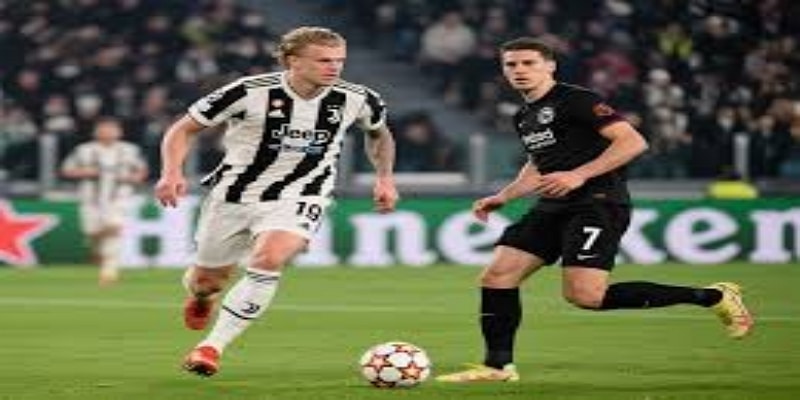 沃特福德保级希望渺茫：关键战失利导致降级几成定局-尊龙娱乐