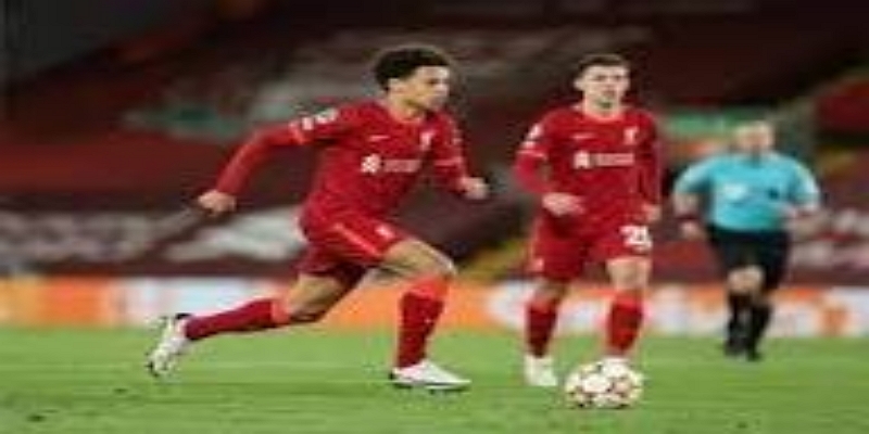 长线蓝图：从保级队到挑战欧战资格- 尊龙娱乐